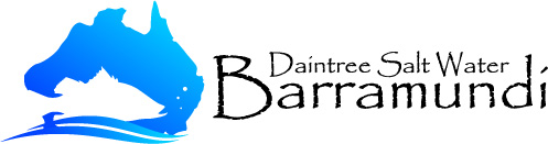 Daintree Saltwater Barramundi logo